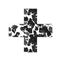 Youth Hoodie